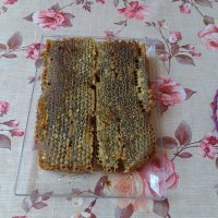 Домашен Пчелен мед , снимка 10 - Домашни продукти - 41776231