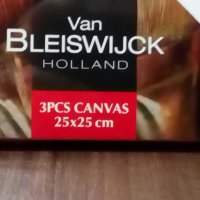 VAN BLEISWIJCK - Комплект от 3 броя Платна за рисуване, снимка 3 - Картини - 41037677