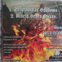 Fleshless  Dethroned in Shadows  Death Metal Grindcore , снимка 2 - CD дискове - 44445148