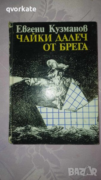 Чайки далеч от брега-Евгени Кузманов, снимка 1