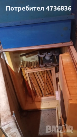 Кошери, снимка 4 - За пчели - 53465781