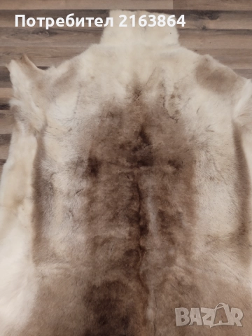 кожа от северен елен, снимка 3 - Декорация за дома - 52728867