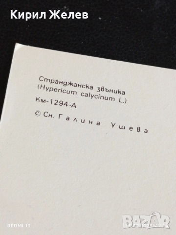 Четири пощенски картички МЕДОВА ПЕРУНИКА, СТРАНДЖАНСКА ЗВЪНИКА,ВОДНА ЛИЛИЯ 26474, снимка 11 - Филателия - 51697755