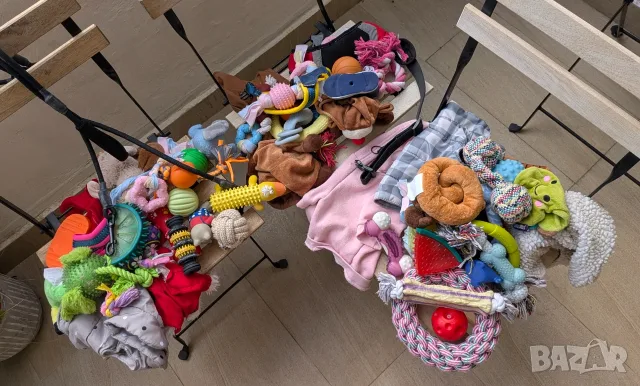 Кучешки играчки, поводи и дрехи за малки кучета