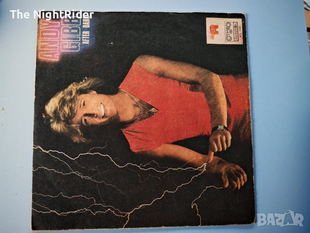 Грамофонни плочи по 5€, снимка 11 - Грамофонни плочи - 53721523