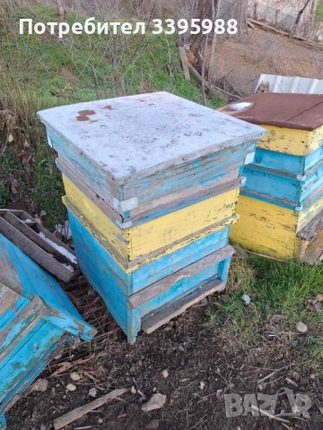 Кошери за пчели, снимка 2 - За пчели - 52938464