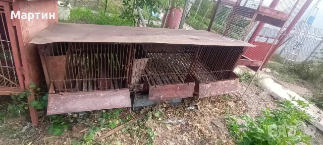 Клетки за зайци, снимка 12 - За селскостопански - 56209119