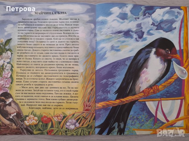 Майчина сълза и други приказки издателство "ПАН" 2003, снимка 3 - Детски книжки - 40612494