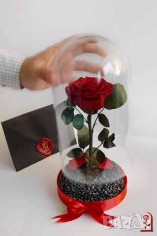 Естествена Вечна Роза в Голяма Стъкленица - Оригинален и Персонализиран Коледен Подарък за Жена, снимка 5 - Коледни подаръци - 52529250