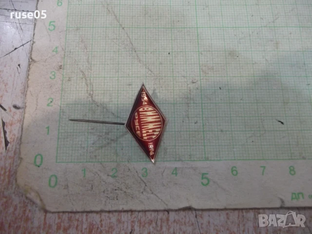 Значка "ВИММЕСС - Русе - 1954-1974" - 1, снимка 5 - Колекции - 50923794