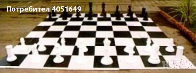 Градински Шах, снимка 1