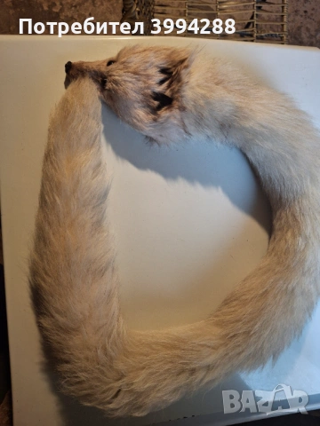 Шал от сребърна бяла лисица, снимка 4 - Шалове - 53350677