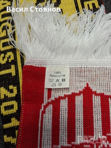 Боруся Дортмунд/BVB vs. Zwickau FSV/Цвикау - Фен шал, снимка 4 - Фен артикули - 52693226