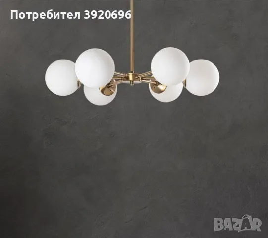 Полилей, снимка 2 - Полилеи - 49125816