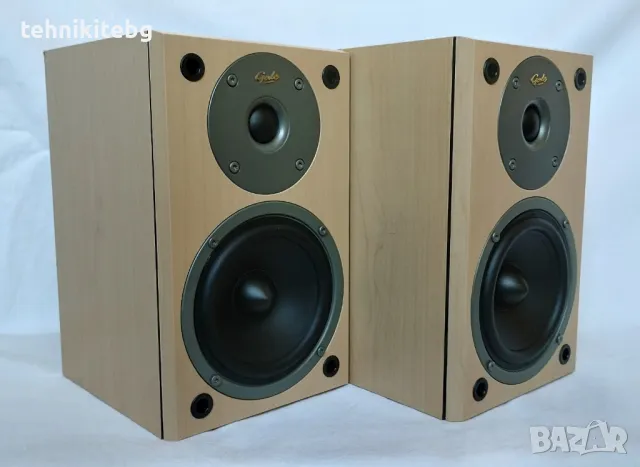 ⭐⭐⭐ GALE 3010S ⭐⭐⭐ Английски тонколони , 2 х 100 вата, снимка 3 - Тонколони - 47441082