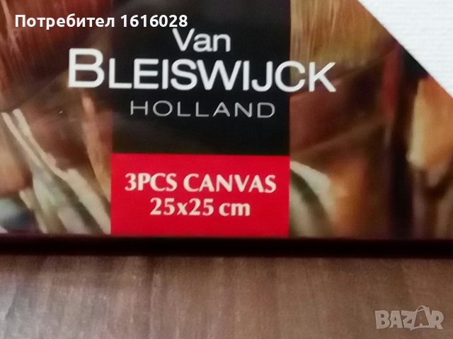 VAN BLEISWIJCK - Комплект от 3 броя Платна за рисуване, снимка 3 - Картини - 41037677
