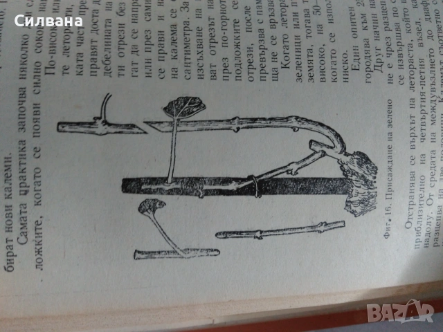 Lozarstvo, снимка 4 - Специализирана литература - 53669689