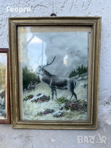 Стари неща за битова стая. Антики