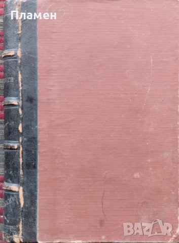 Жертви на чуждата цивилизация въ насъ / Два портретя изъ съвременния ни животъ Никола Пенчевъ Слепий, снимка 7 - Антикварни и старинни предмети - 42553314