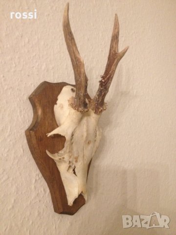 Немски трофей сръндак. Документ., снимка 3 - Други ценни предмети - 35962994