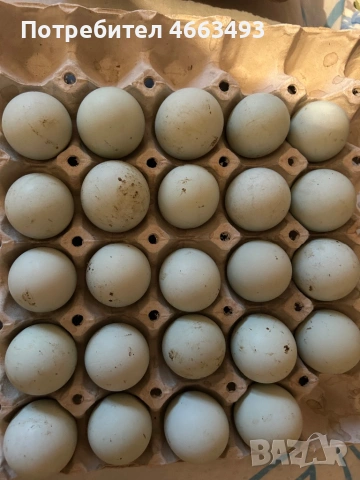 Легбар, снимка 3 - други­ - 53636452