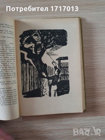 Бакьо - Райна Вапцарова, снимка 3 - Българска литература - 34748468