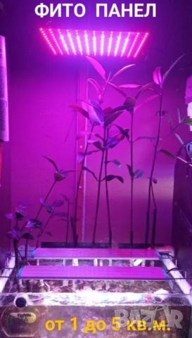 UV хидропонична лампа за растения, снимка 9 - Крушки - 29557423