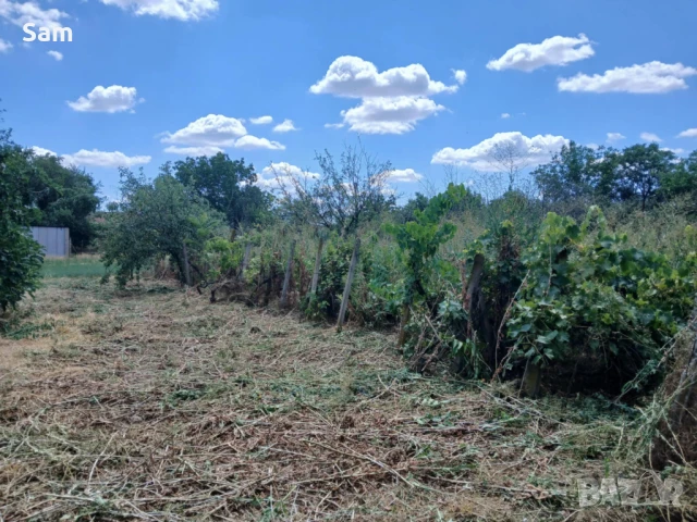 Продава къща , гр.Тръстеник, снимка 3 - Къщи - 51074805