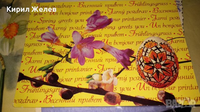 ЛОТ 3 СТАРИ ФЛОРАЛНИ ПРАЗНИЧНИ ПОЩЕНСКИ КАРТИЧКИ НРБ СССР 6707, снимка 7 - Филателия - 38729858