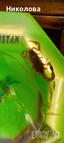 Пепелник от Афганистан , снимка 4 - Други - 39159854