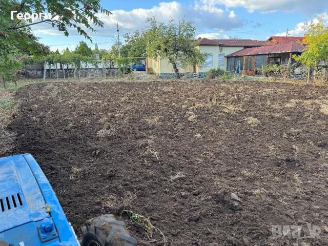 Косене на Трева и Почистване на Дворове, снимка 2 - Почистване на домове - 37740339