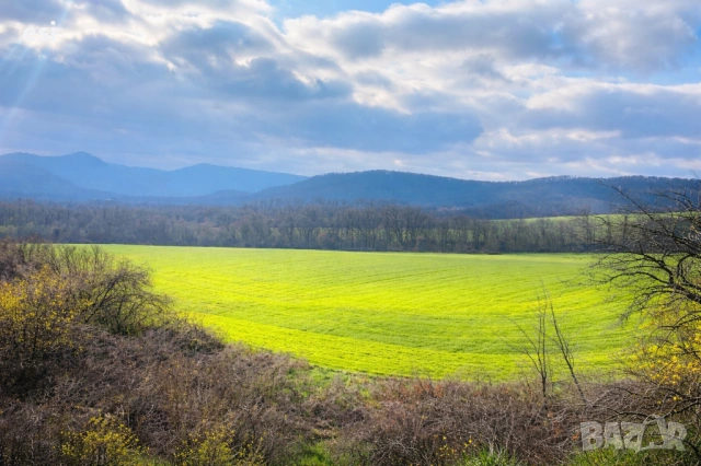 Евтина земя до с. Дебелец, яз. Цонево - гледка, инвестиция, снимка 2 - Земеделска земя - 53164411