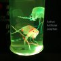 LED нощна лампа - аквариум с две синтетични медузи,пет цвята, снимка 6