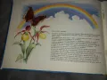 Чудеса на природата Педагогическа картинна книжка , снимка 2