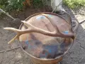 Еленски рога ..., снимка 1