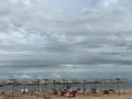 Професионални тръстикови чадъри за плаж или заведение , снимка 2