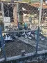 Продавам гълъби, снимка 6