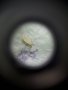Джобен микроскоп с щипка за мобилен телефон, UV светлина 60X LED, лупа, регулиране на фокусирането, снимка 13