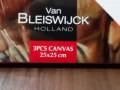 VAN BLEISWIJCK - Комплект от 3 броя Платна за рисуване, снимка 3