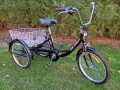 Триколка за всеки колела 20″, снимка 2