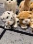 Интерактивни мини животинки Furreal friends лот, снимка 3