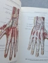 Атлас анатомии человека 1 и 2 том Синелников 28/1, снимка 6