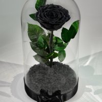 Луксозен Подарък за Жена / Естествена Вечна Черна Роза в Стъкленица / Стилен Подарък за Рожден Ден, снимка 8 - Други - 34470601