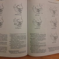 Детска стоматология - Ралф Макдоналд, Дейвид  Айвъри- 2003г.,770стр., снимка 8 - Специализирана литература - 42554916