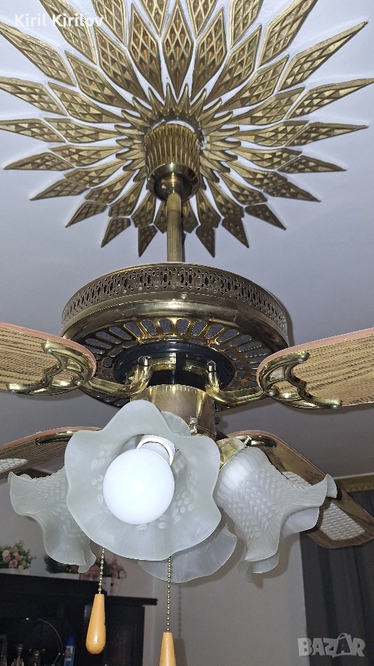Полилей Вентилатор, снимка 1