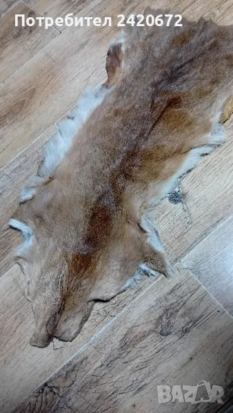 кожа  сърандак, снимка 1