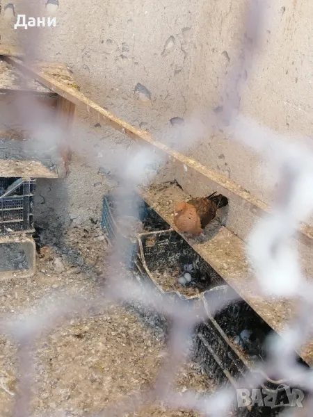 архангел мъжки , снимка 1