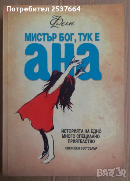 Мистър Бог,тук е Ана  Фин, снимка 1