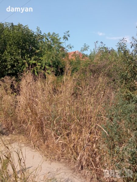 Къща в с.Софрониево, снимка 1