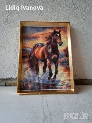 Диамантен гоблен кон-готов и рамкиран, снимка 4 - Гоблени - 51866436